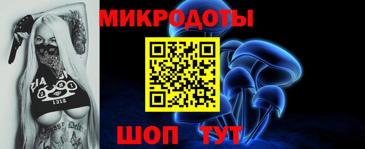 Новокуйбышевск  Галлюциногенные грибы Psilocybe  Вход с VPN 